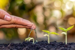 Coaching für persönliche und berufliche Veränderung in Saarbrücken, Saarland